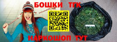стафф Кингисепп