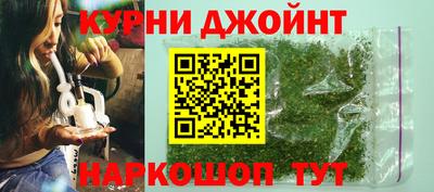 стафф Кингисепп