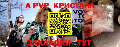стафф Кингисепп