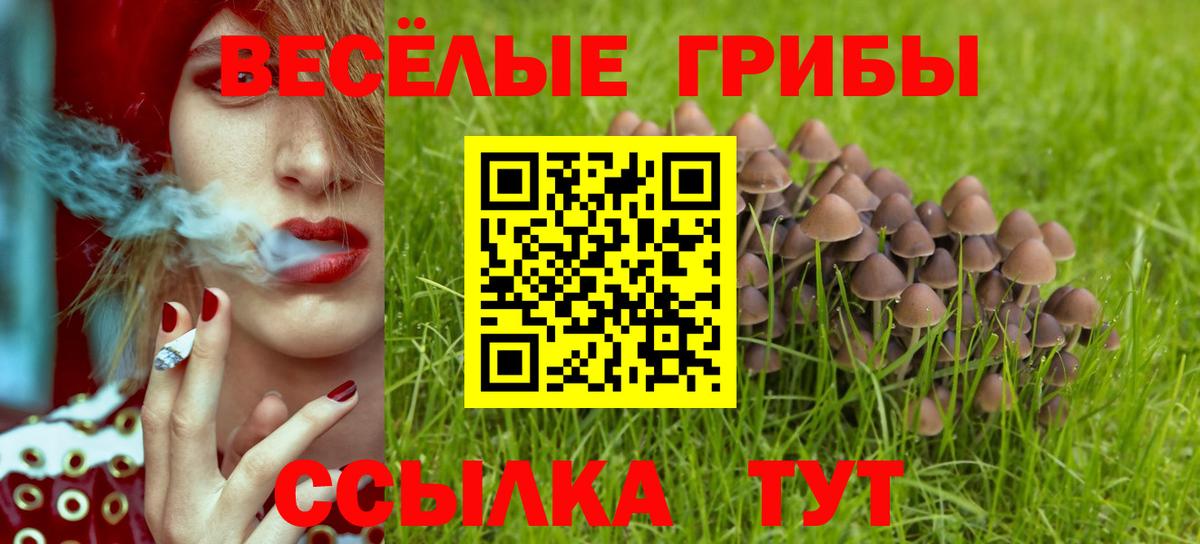 Псилоцибиновые грибы мицелий Кохма